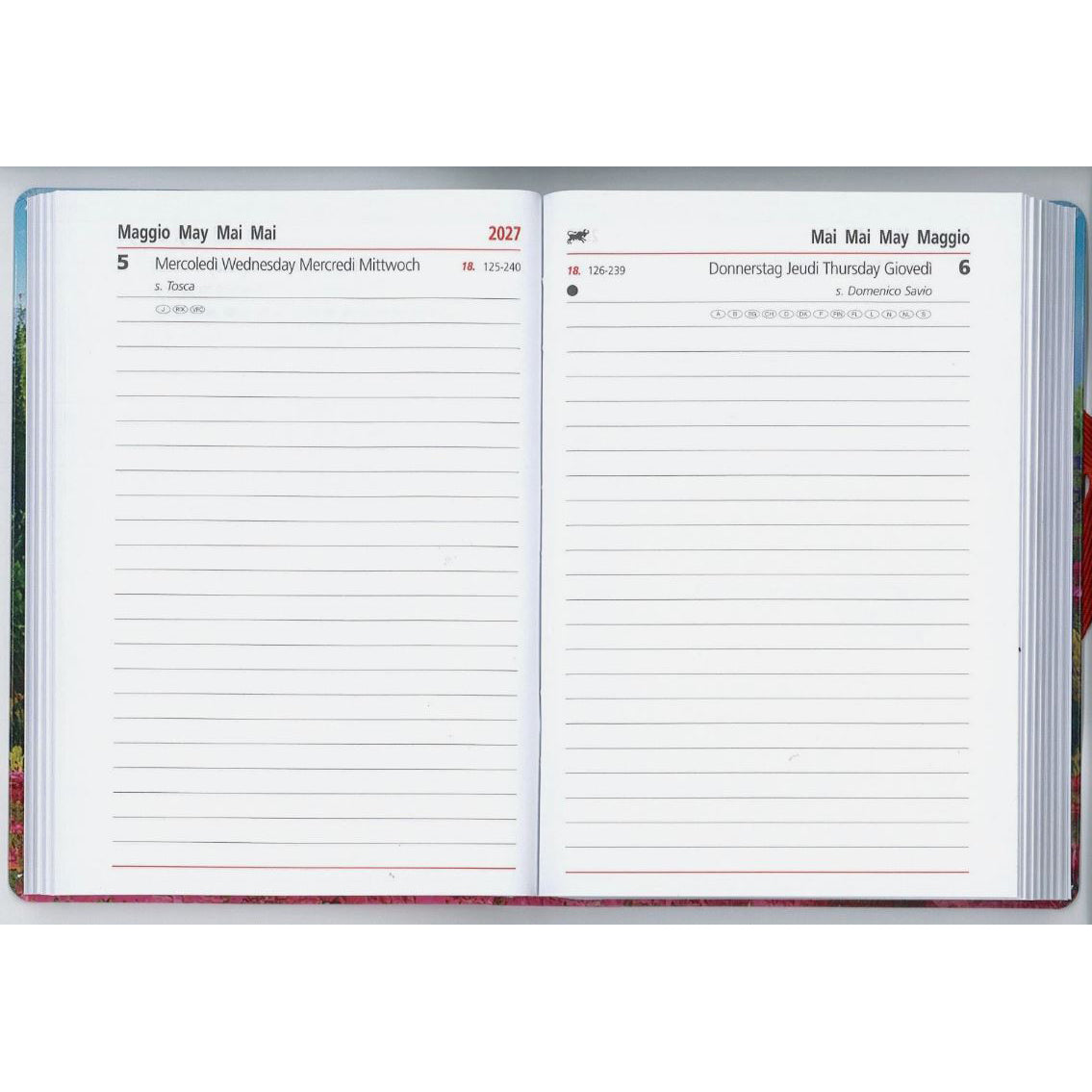 Agenda Cangini Filippi Giornaliera Painting con Elastico 2027 9x13cm